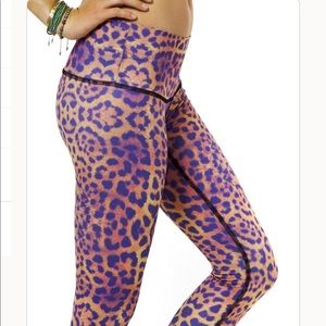 Teeki Hot Pant - Awakening